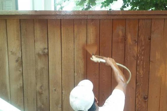 content image 1